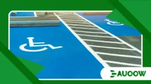 Urban accessibility policies that worked worldwide