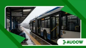 Accessibility Budgets Explained: Where the Money Goes (and Where It Doesn’t